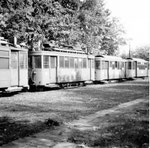 Verschiedene Trammotorwagen der Serie Be 2/2 auf den vielen Abstellgeleisen beim Eglisee, 1970