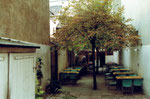 Die schattige Gartenwirtschaft des Restaurant Aeschentor, 1978