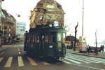 Der Trammotorwagen Be 2/2 Nr. 190 an der Schifflände, 1982 (Im Hintergrund eine Baum-Verunstaltung)