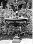 Eines der berühmten und schönen Basler «Drachenbrünneli» in den Langen Erlen, 1974