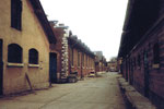 Schlachthof Basel, Innenhof mit Stallungen (rechts), 1984