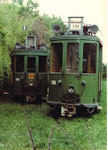 Zwei Trammotorwagen der Serie Be 2/2 Nr. 138 und Nr. 180 auf einem Abstellgeleise im Eglisee, 1972