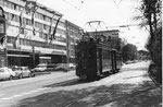 Tramzug mit Be 2/2 Nr.154 auf der Linie 24 am Aeschengraben, die Haltestelle Aschenplatz anfahrend 1969