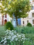 Das Hebel-Denkmal vor der Peterskirche geschmückt mit vielen schönen Blumen, Juni 2017