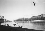 Stimmungsbild von der Schifflände mit Blick Richtung Kleinbasel (Kaserne), Dezember 1982