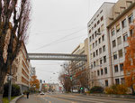Die Klybeckstrasse mit der eleganten Werkbrücke der NOVARTIS, 2016