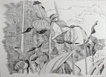 Okt-2 (76x56cm) Papier Bleistiftl