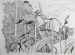 Okt-2 (76x56cm) Papier Bleistiftl