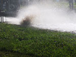 Erfolgreicher Pumpversuch