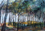 Darsswald, Collage/MT 2024