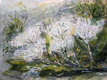 Holunderblüten, Collage 2021,verkauft