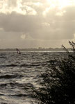 Surfer bei steifem Wind auf der Elbe