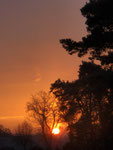 Abendlicht