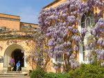Eingang zum Herrenhaus Killerton, Devon