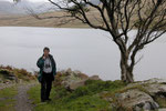 Irland Birding 2004 "Natur und romantische Guesthouses"