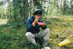 Finnland Oulanka 2003 "Wandern mit den Mücken"