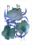 HortensienBlau