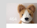464 コーギー１３