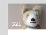 521 コーギー３５