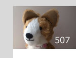 507 コーギー２７