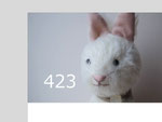 423 しろうさぎ
