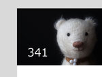 341 スパースシロクマ１