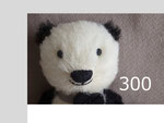 300 アルパカぱんだ
