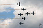 Breitling Jet Team Aero L-39 Albatros