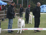 Zwischenklasse Bremen 2009 V1