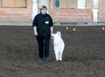 Obedience Beginner 2011