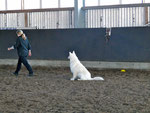 Obedience Beginner 2011