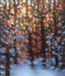 Winterwald 50x60cm
