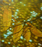 Landschaft 70x80cm