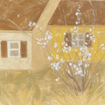 early spring 20x20 $800