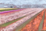 color play 24x36 SOLD