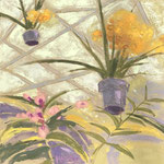 orchid greenhouse #2 20x20 SOLD