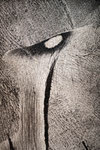 das Auge der Titanen (Pigmentdruck 420x594mm)