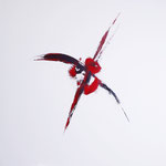 FLOWER OF LOVE    80 x 80 cm