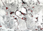 PLACE OF THE LOST HEARTS     40 x 30 cm