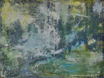 DESTRUCTION OF THE RAINFOREST                                              80 x 60 cm
