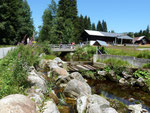 Radtour im Nationalpark Bayerischer Wald (am Reschbach)