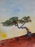 knorriger Baum, Airbrush auf Aquarellpapier, 56x76 cm ungerahmt 200 Euro, in silbernem Rahmen 74x100 cm 230 Euro