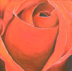 Red Rose - Öl auf Leinwand  im Schattenfugenrahmen  - 90,- Euro