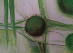 Circle of life - 30 x 40 - Acryl auf XXL Leinwand - verkauft