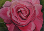 Morning Rose - 50 x 70 - Acryl auf Leinwand  im Schattenfugenrahmen - 180,- Euro