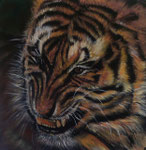 To bear one`s teeth - 50 x 50 - Acryl auf Leinwand im Schattenfugenrahmen - 200,- Euro