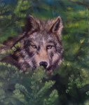 Beobachten - 60 x 70 - Acryl  - verkauft