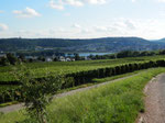 einer der vielen Spazierwege Geisenheim-Rüdesheim durch die Weinberge/one of the many walks