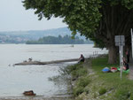 Idyll am Geisenheimer Rheinufer/the rhine bank at Geisenheim