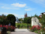 Weinwirtschaft in Geisenheim/winery in Geisenheim